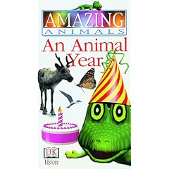 An Amazing Animal Year