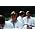 Miniaturansicht von Take That