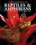 Encyclopedia of Reptiles and Amphibians, Second Edition (Natural World)