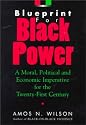 Blueprint for Black Power: A Moral, Political, and Economic Imperative for the Twenty-First Century