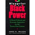 Blueprint for Black Power: A Moral, Political, and Economic Imperative for the Twenty-First Century