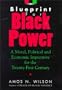 Blueprint for Black Power: A Moral, Political, and Economic Imperative for the Twenty-First Century