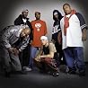 Image of D12