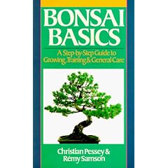 Bonsai Basics: A Step-By-Step Guide To Growing, Training & General Care