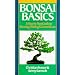 Bonsai Basics: A Step-By-Step Guide To Growing, Training & General Care