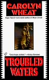 Troubled Waters (Cass Jameson Legal Mysteries)