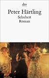 Schubert. Zwölf Moments musicaux und ein Roman. (Fiction, Poetry & Drama)