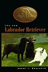 The new Labrador retriever
