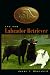 The New Labrador Retriever