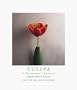 Tulipa: A Photographer's Botanical