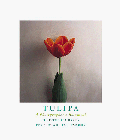 Image of: Tulipa: A Photographer's Botanical