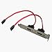Electronics : SATA Serial ATA Twin 2 x Data Backplate - connect HDD