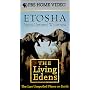 The Living Edens - Etosha: Africa's Untamed Wilderness [VHS]