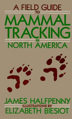 North America