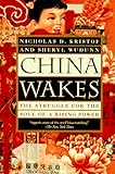China Wakes: The Struggle for the Soul of a Rising Power