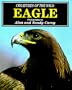 Eagle (Creatures of the Wild)