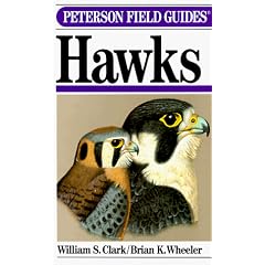 A Field Guide to Hawks: North America