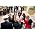 Thumbnail image of Military Wives