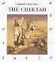 The Cheetah (Animal Close-Ups)