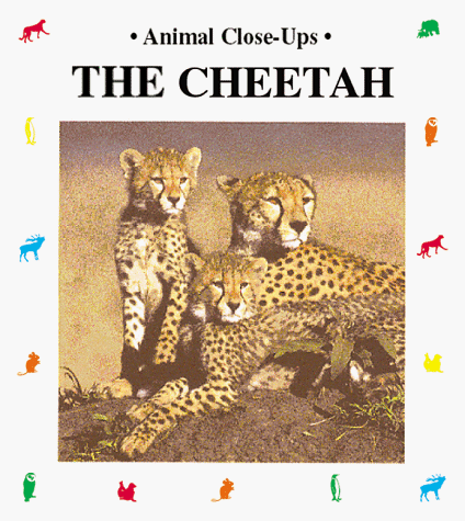 Cheetahs