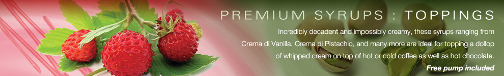 Amoretti Premium Syrups for Coffee, Tea and Beverages : Toppings