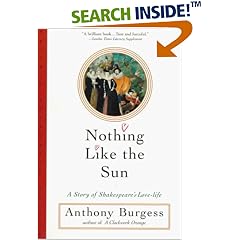 Nothing Like the Sun: A Story of Shakespeare's Love-Life (Norton Paperback Fiction)