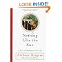 Nothing Like the Sun (Norton Paperback Fiction)