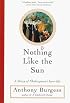 Nothing Like the Sun: A Story of Shakespeare's Love-Life (Norton Paperback Fiction)