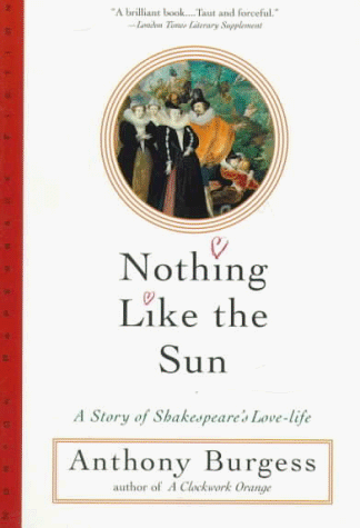 Nothing Like the Sun (Norton Paperback Fiction)