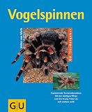 Vogelspinnen