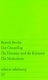 Der Ozeanflug (Edition Suhrkamp)