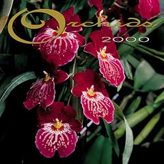 Orchids