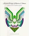 Celestial Beings of Heaven and Nature Meditation Coloring Book