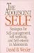 Books : The Adolescent Self: Strategies for Self-Management, Self-Soothing, and Self-Esteem in Adolescents (Norton Professional Books)