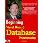 Beginning Visual Basic 6 Database Programming