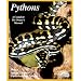 Pythons (Complete Pet Owner's Manual)