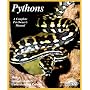 Pythons (Complete Pet Owner's Manual)
