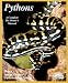 Pythons (Complete Pet Owner's Manual)