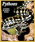 Pythons (Complete Pet Owner's Manual)