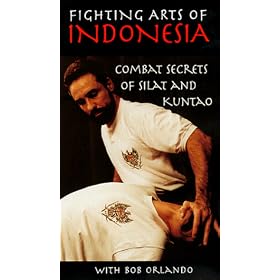 Fighting Arts of Indonesia:Combat Sec [VHS]
