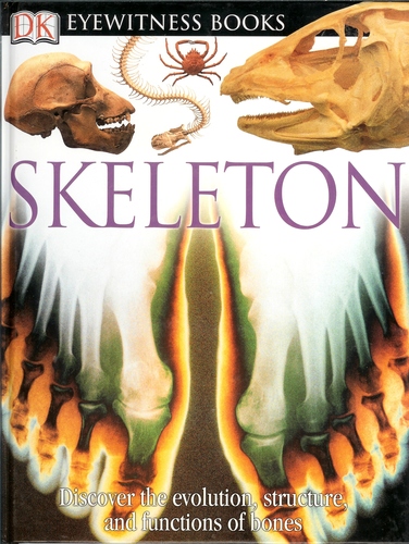 Skeleton (DK Eyewitness Books) [Hardcover]