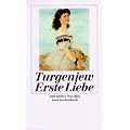 Erste Liebe. Und andere Novellen (insel taschenbuch)