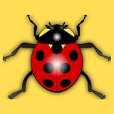 Garden Bugs