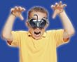 Hornet Buzzerks Glasses