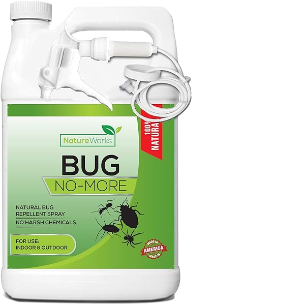 Bug No More Natural Insect Pest Control Spray Ant Roach