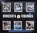 Minnesota Vikings 