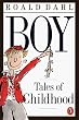 Boy: Tales of Childhood