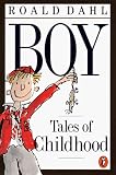 Boy: Tales of Childhood