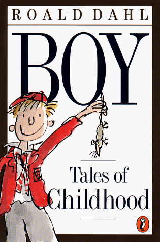 Boy: Tales of Childhood
