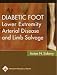 Diabetic Foot Lower Extremity Arterial Disease And Limb Salvage